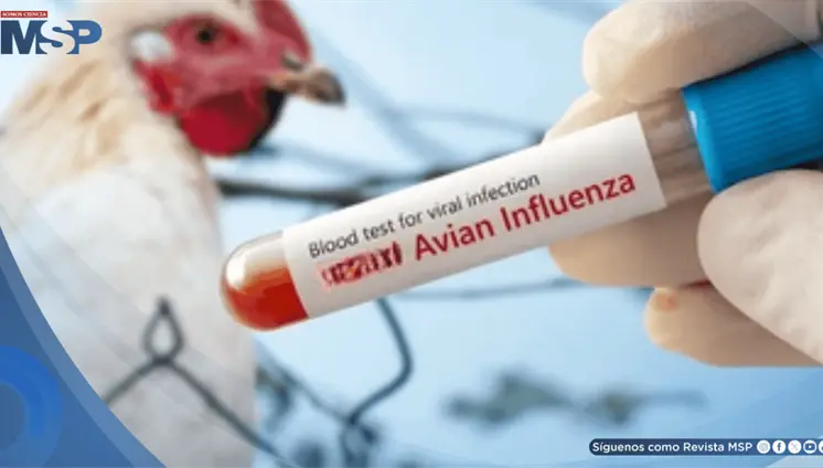 Confirman la primera muerte humana por gripe aviar H5N5 en Estados Unidos Confirman la primera muerte humana por gripe aviar H5N5 en Estados Unidos