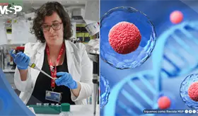 Fármaco logra revertir el envejecimiento de células madre y potencia la regeneración del sistema inmune