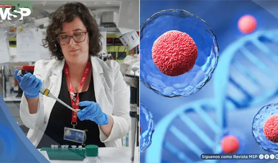 Fármaco logra revertir el envejecimiento de células madre y potencia la regeneración del sistema inmune