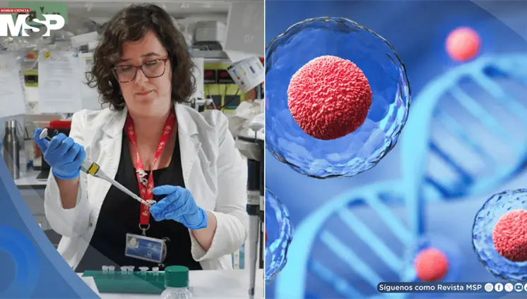 Fármaco logra revertir el envejecimiento de células madre y potencia la regeneración del sistema inmune