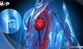 ¿Disfunción eréctil? Podría ser alerta temprana de riesgo cardiovascular en hombres mayores de 40 años