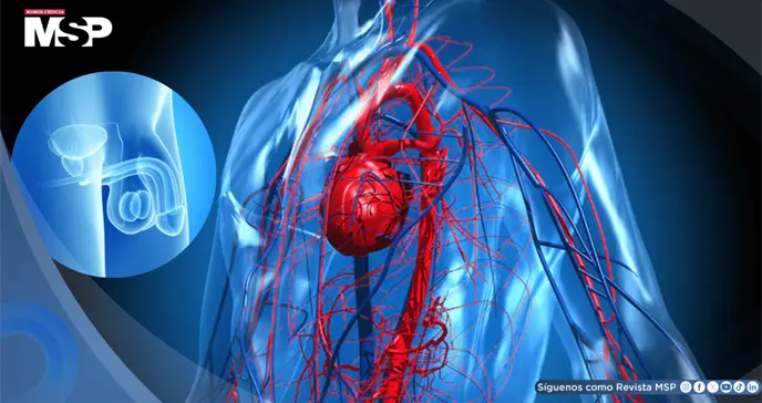¿Disfunción eréctil? Podría ser alerta temprana de riesgo cardiovascular en hombres mayores de 40 años