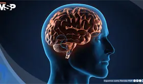 La adolescencia se extendería hasta los 32 años y el envejecimiento comenzaría a los 66: Estudio