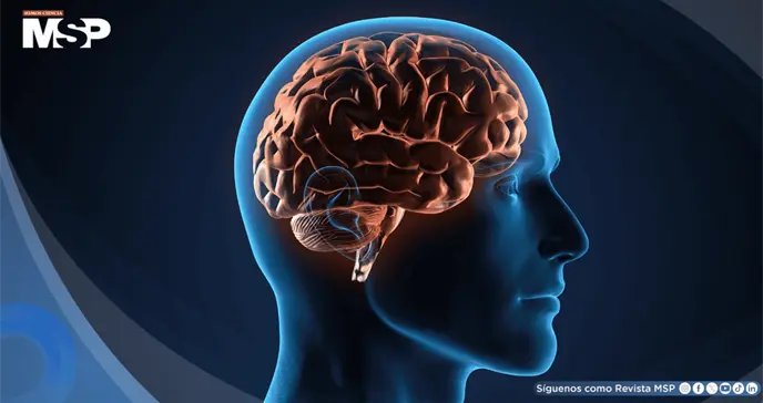 La adolescencia se extendería hasta los 32 años y el envejecimiento comenzaría a los 66: Estudio La adolescencia se extendería hasta los 32 años y el envejecimiento comenzaría a los 66: Estudio