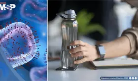 Termos reutilizables podrían acumular más bacterias que un inodoro si no se lavan a diario