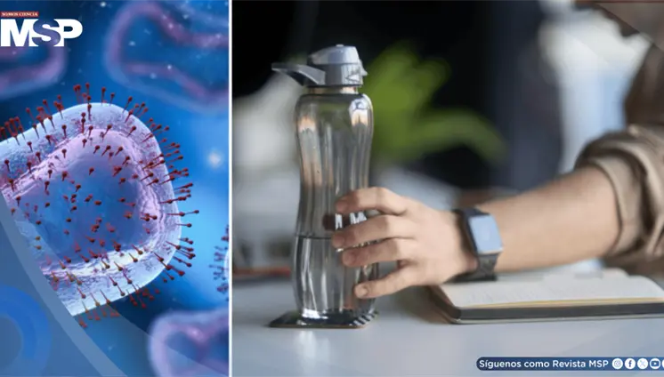 Termos reutilizables podrían acumular más bacterias que un inodoro si no se lavan a diario Termos reutilizables podrían acumular más bacterias que un inodoro si no se lavan a diario