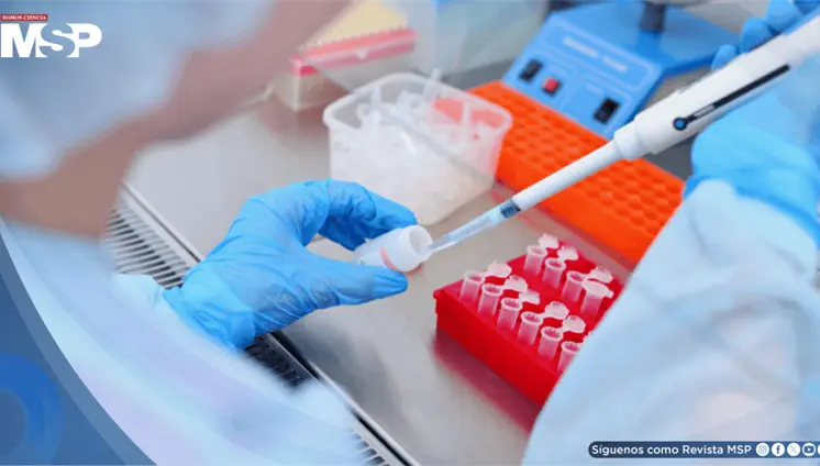 Alteraciones inmunológicas podrían predecir el cáncer en personas con VIH un año antes del diagnóstico
