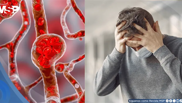 Estrés crónico eleva el azúcar en sangre y aumenta el riesgo de diabetes tipo 2: Estudio Estrés crónico eleva el azúcar en sangre y aumenta el riesgo de diabetes tipo 2: Estudio