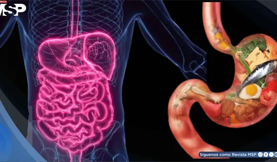 ¿Cansancio después de comer? Podría ser fatiga por azúcar: ¿Qué es y cómo manejarlo?