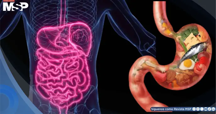 ¿Cansancio después de comer? Podría ser fatiga por azúcar: ¿Qué es y cómo manejarlo? ¿Cansancio después de comer? Podría ser fatiga por azúcar: ¿Qué es y cómo manejarlo?