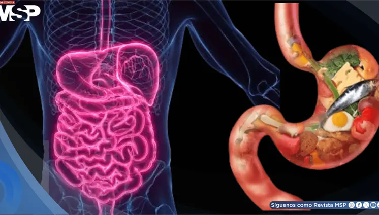 ¿Cansancio después de comer? Podría ser fatiga por azúcar: ¿Qué es y cómo manejarlo? ¿Cansancio después de comer? Podría ser 'fatiga por azúcar': ¿Qué es y cómo manejarlo?