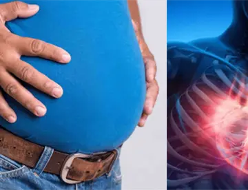 La panza de cerveza es más peligrosa para el corazón que el sobrepeso general, según estudio