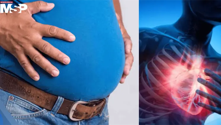 La panza de cerveza es más peligrosa para el corazón que el sobrepeso general, según estudio La