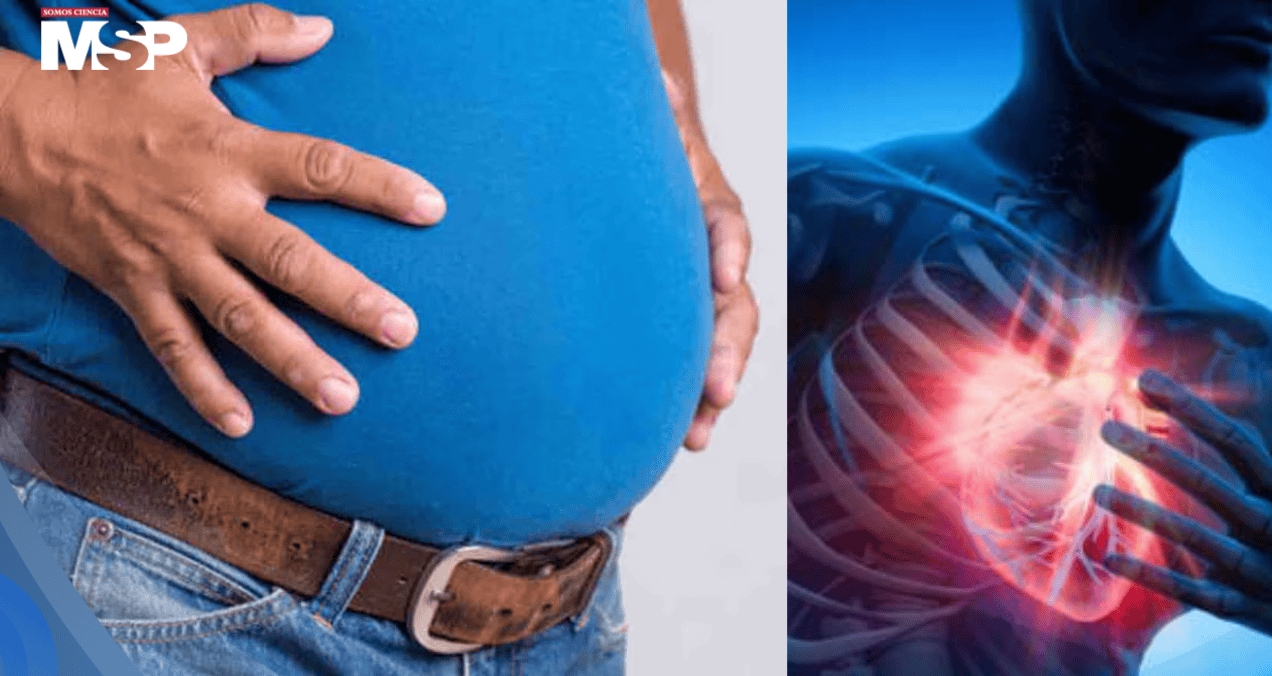 La panza de cerveza es más peligrosa para el corazón que el sobrepeso general, según estudio La panza de cerveza es más peligrosa para el corazón que el sobrepeso general, según estudio