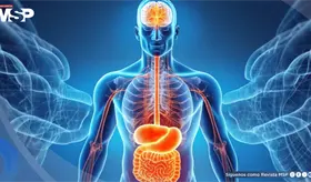 Estas son las 4 señales físicas que el cuerpo envía cuando está sobrecargado por el estrés