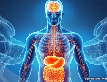 Estas son las 4 señales físicas que el cuerpo envía cuando está sobrecargado por el estrés