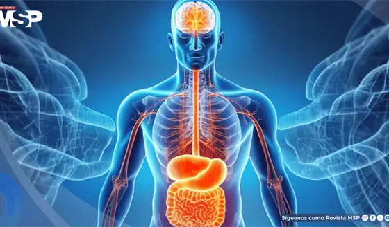 Estas son las 4 señales físicas que el cuerpo envía cuando está sobrecargado por el estrés