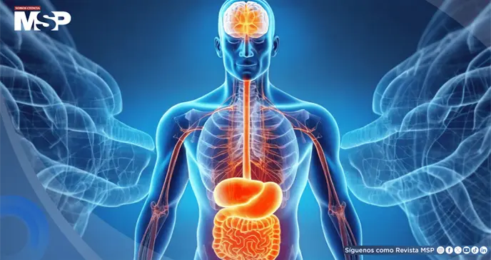 Estas son las 4 señales físicas que el cuerpo envía cuando está sobrecargado por el estrés Estas son las 4 señales físicas que el cuerpo envía cuando está sobrecargado por el estrés