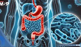 Aditivos en ultraprocesados podrían debilitar la barrera intestinal  e incrementar la inflamación