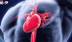 Pulso y frecuencia cardíaca: Cómo diferenciarlos y por qué no siempre son lo mismo