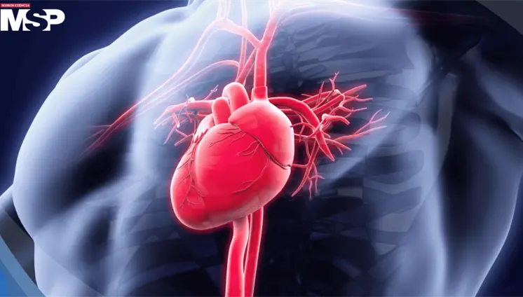 Pulso y frecuencia cardíaca: Cómo diferenciarlos y por qué no siempre son lo mismo Pulso y frecuencia cardíaca: Cómo diferenciarlos y por qué no siempre son lo mismo