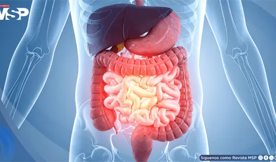 5 bebidas que no debes consumir con el est&oacute;mago vac&iacute;o: Irritaci&oacute;n, acidez, hinchaz&oacute;n y cambios en glucosa