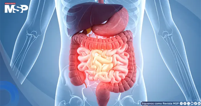 5 bebidas que no debes consumir con el est&oacute;mago vac&iacute;o: Irritaci&oacute;n, acidez, hinchaz&oacute;n y cambios en glucosa