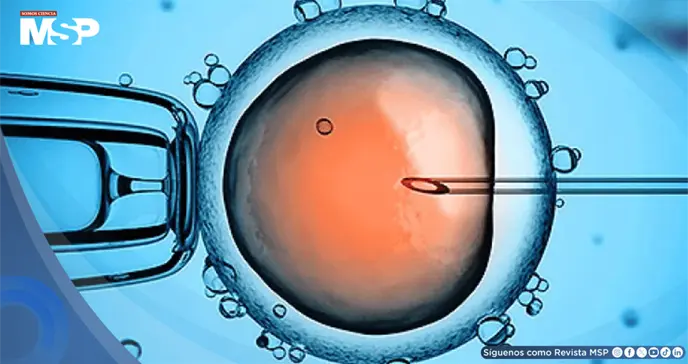Investigación revela que 197 niños europeos heredaron gen mortal de un solo donante de esperma Investigación revela que 197 niños europeos heredaron gen mortal de un solo donante de esperma