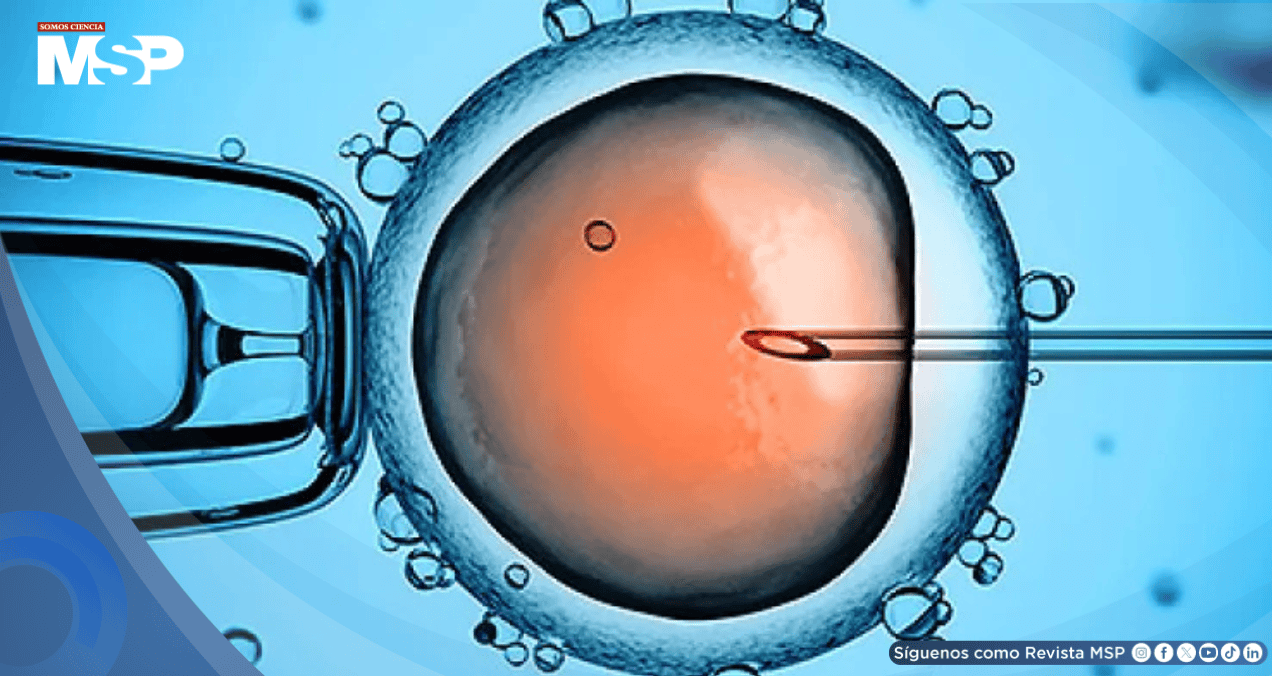 Investigación revela que 197 niños europeos heredaron gen mortal de un solo donante de esperma Investigación revela que 197 niños europeos heredaron gen mortal de un solo donante de esperma