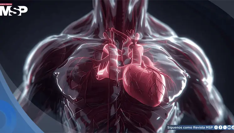 Remisi&oacute;n de prediabetes podr&iacute;a reducir 50 % el riesgo de muerte cardiovascular, seg&uacute;n estudio