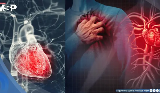 Opresi&oacute;n en el pecho, sudor fr&iacute;o, n&aacute;useas y falta de aire:&iquest;es pericarditis o infarto? Lo que debes saber