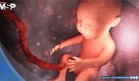 El estr&eacute;s materno durante el embarazo podr&iacute;a alterar el desarrollo cerebral del embri&oacute;n, seg&uacute;n estudio