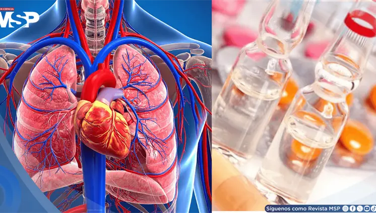 Acné, Hipertensión y ataque al corazón: Estos podrían ser los riesgos de consumir esteroides anabólicos Acné, Hipertensión y ataque al corazón: Estos podrían ser los riesgos de consumir esteroides anabólicos