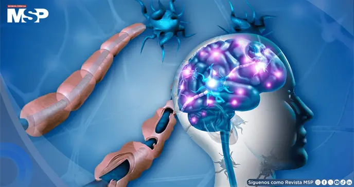 Virus de Epstein-Barr podr&iacute;a desencadenar ataques inmunitarios al cerebro que causan esclerosis m&uacute;ltiple