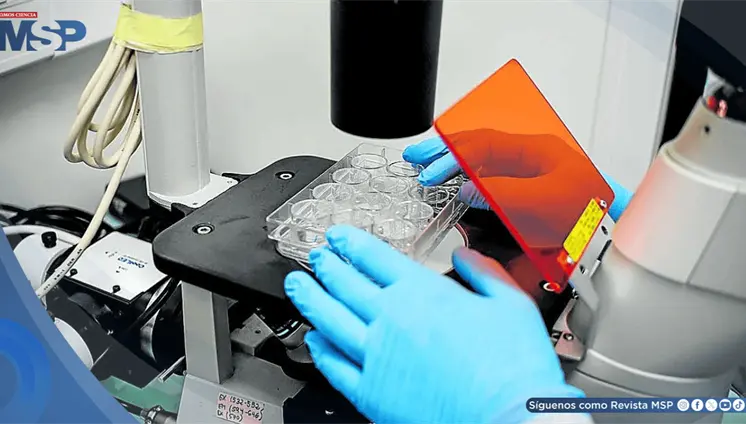 Vacuna experimental logra activar el sistema inmune contra el c&aacute;ncer en pacientes con s&iacute;ndrome de Lynch
