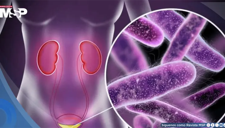 &iquest;Infecci&oacute;n urinaria o renal? C&oacute;mo diferenciarlas, prevenirlas y evitar la resistencia bacteriana
