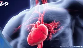 ¿Cómo saber si el estrés está afectando su salud? Estas son las cinco señales de alerta