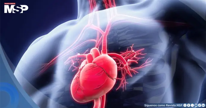 &iquest;C&oacute;mo saber si el estr&eacute;s est&aacute; afectando su salud? Estas son las cinco se&ntilde;ales de alerta