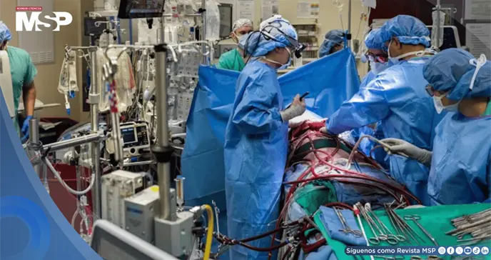 Paciente sobrevive 48 horas sin pulmones gracias a sistema artificial mientras esperaba trasplante Paciente sobrevive 48 horas sin pulmones gracias a sistema artificial mientras esperaba trasplante