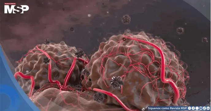 Casi el 40 % de los nuevos c&aacute;nceres diagnosticados en el mundo podr&iacute;an ser prevenibles