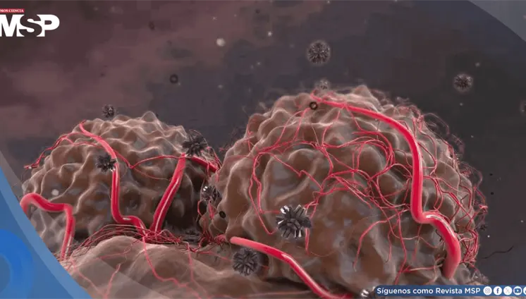 Casi el 40 % de los nuevos c&aacute;nceres diagnosticados en el mundo podr&iacute;an ser prevenibles