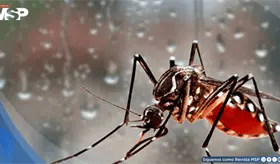 Autoridades alertan riesgo de dengue y leptospirosis por lluvias e inundaciones peligrosas en Puerto Rico