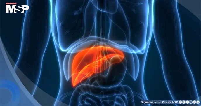Ictericia, fatiga y orina oscura: Estas son las se&ntilde;ales de que los medicamentos est&aacute;n da&ntilde;ando el h&iacute;gado