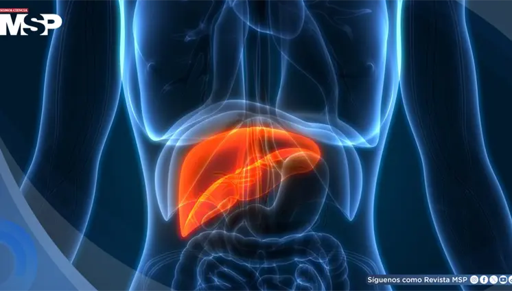 Ictericia, fatiga y orina oscura: Estas son las señales de que los medicamentos están dañando el hígado Ictericia, fatiga y orina oscura: Estas son las señales de que los medicamentos están dañando el hígado