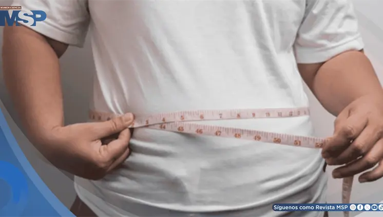 Gu&iacute;as sobre el manejo de la obesidad: enfoque hol&iacute;stico, apoyo a largo plazo y atenci&oacute;n sin prejuicios