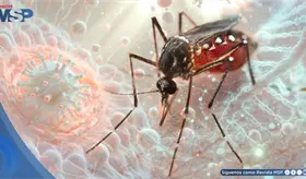 Nuevo estudio explica c&oacute;mo haber tenido Zika puede aumentar el riesgo de dengue severo