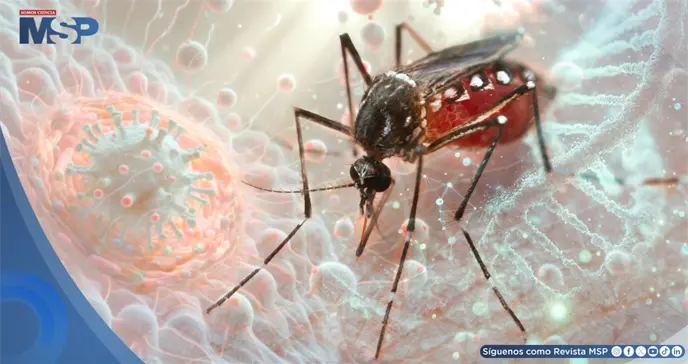 Nuevo estudio explica c&oacute;mo haber tenido Zika puede aumentar el riesgo de dengue severo