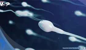 Detectan en el semen humano 42 sustancias qu&iacute;micas cotidianas que podr&iacute;an afectar la fertilidad 