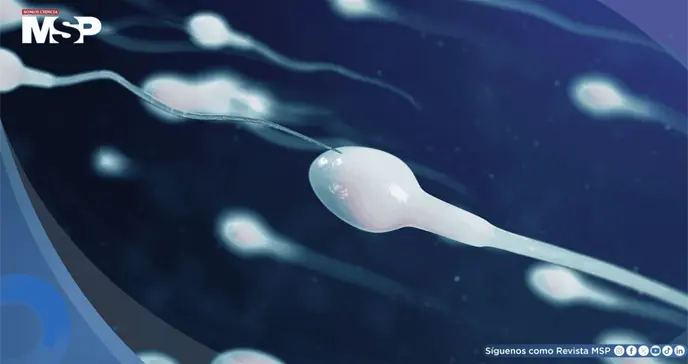 Detectan en el semen humano 42 sustancias qu&iacute;micas cotidianas que podr&iacute;an afectar la fertilidad 