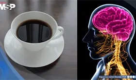 Descubren que dos tazas de café al día podrían reducir un 18% el riesgo de demencia